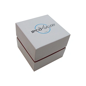 Custom Jewelry Box Square Watch Box with Cushion